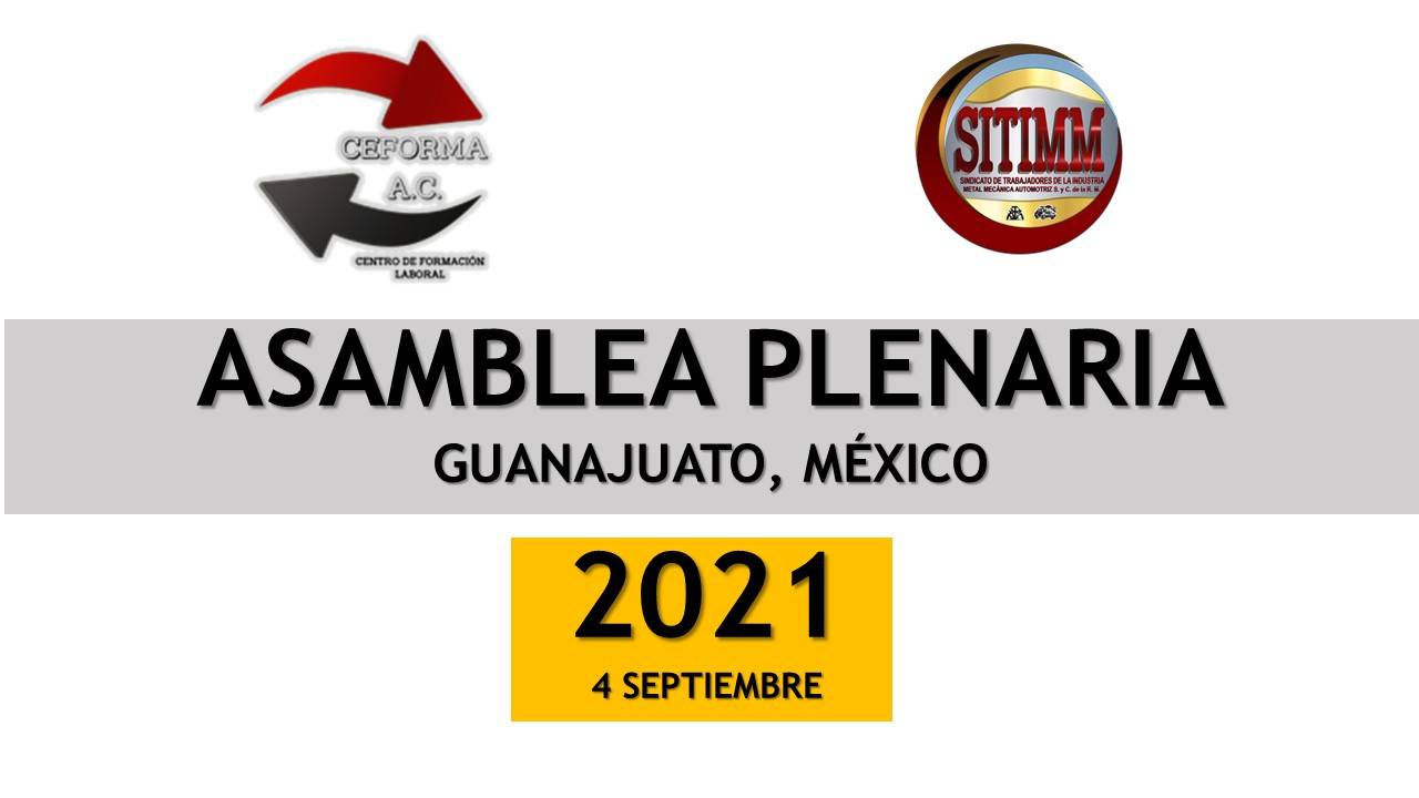 Asamblea Plenaria SITIMM 2021